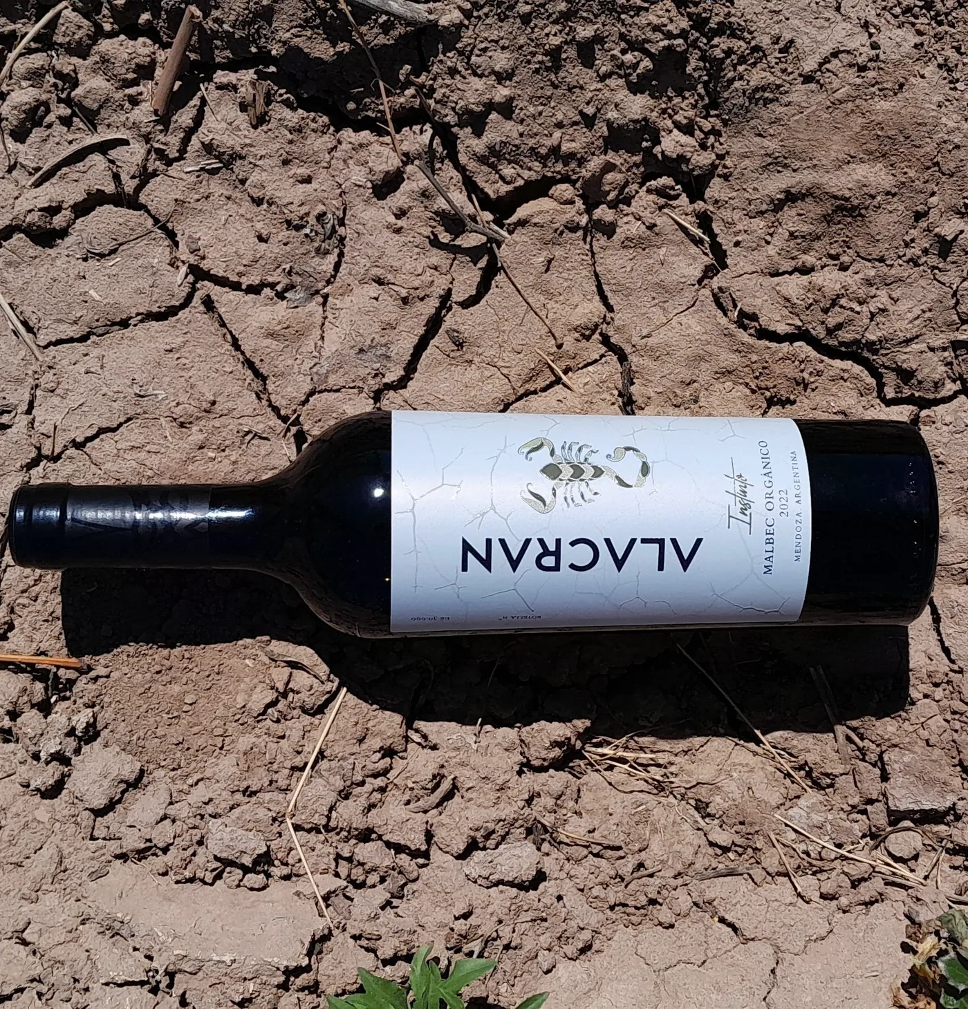 Alacrán Instinto Malbec Orgánico sobre tierra de Mendoza